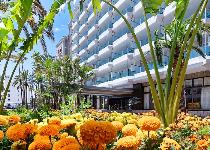 Bull Escorial & Playa del Ingles (Gran Canaria)